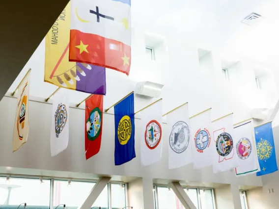 flags