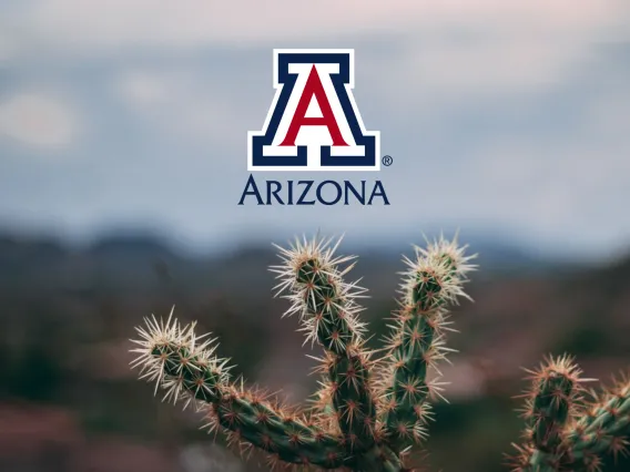 university of arizona