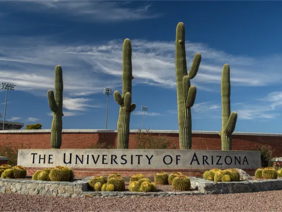 University of Arizona