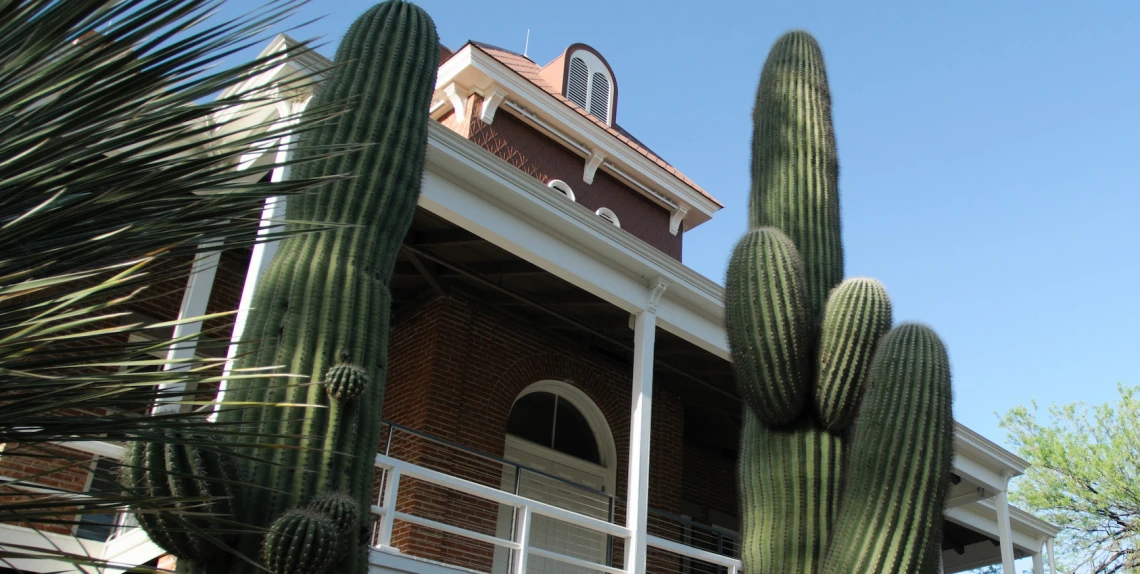 Old Main Cactus